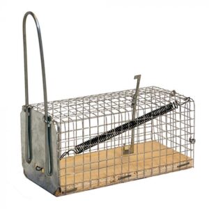 Article test pour stock